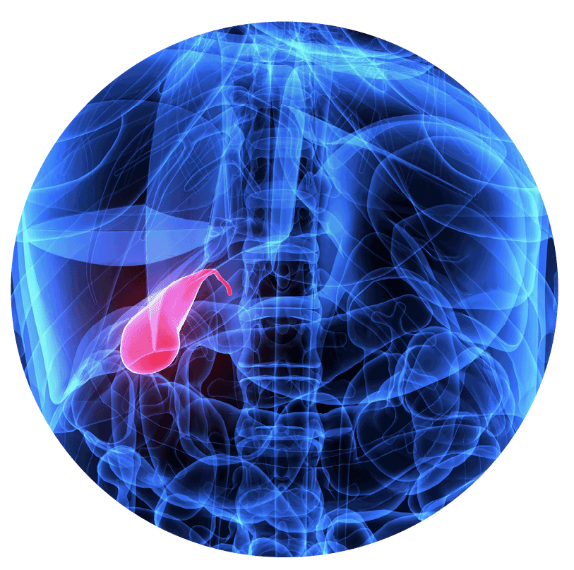 Advanced Minimally Invasive Bile Duct Gallbladder