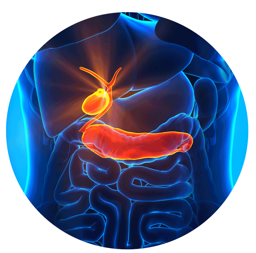 Laparoscopic Liver and Pancreas Surgery Pancreas